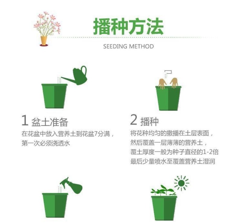 矮牵牛花种子阳台盆栽植物多年生垂吊七色喇叭花观花四季易种