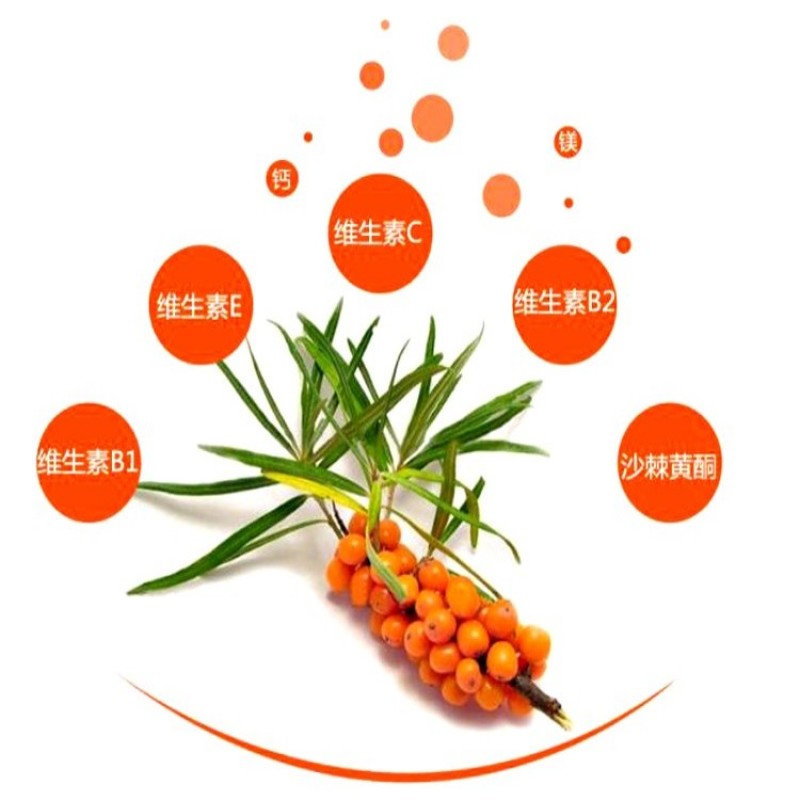灌木种子沙棘马棘荆条柠条桑树公路绿化护坡固土耐盐碱草种籽