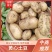 四川新鲜黄心土豆，实验一号，华颂，沃土，v7大量上市！！