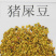 新采猪屎豆种子椭圆叶猪屎豆三圆叶猪屎豆护坡种子