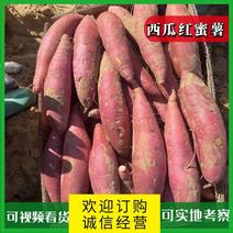 精品沙地西瓜红蜜薯大量上市,对接电商,市场,长期供货,