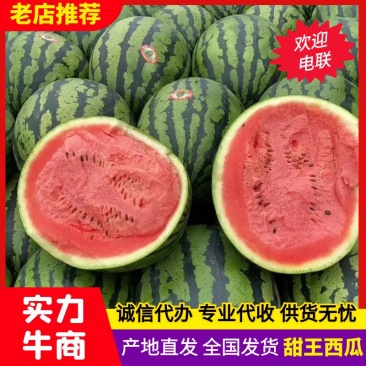 【实力老店】山东西瓜甜王西瓜产地直发全国发货头茬瓜