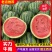 【实力老店】山东西瓜甜王西瓜产地直发全国发货头茬瓜