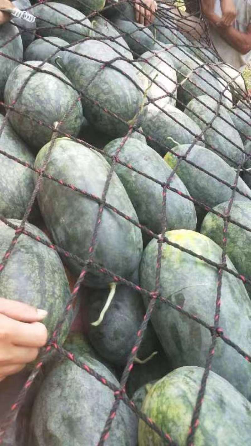 [荐]黑美人西瓜大西瓜新鲜现摘薄皮沙瓤甜瓜欢迎订购