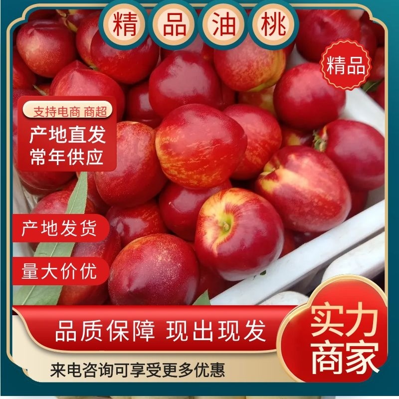 精品油桃，早48油桃，供应电商，代发全国各大水果市场
