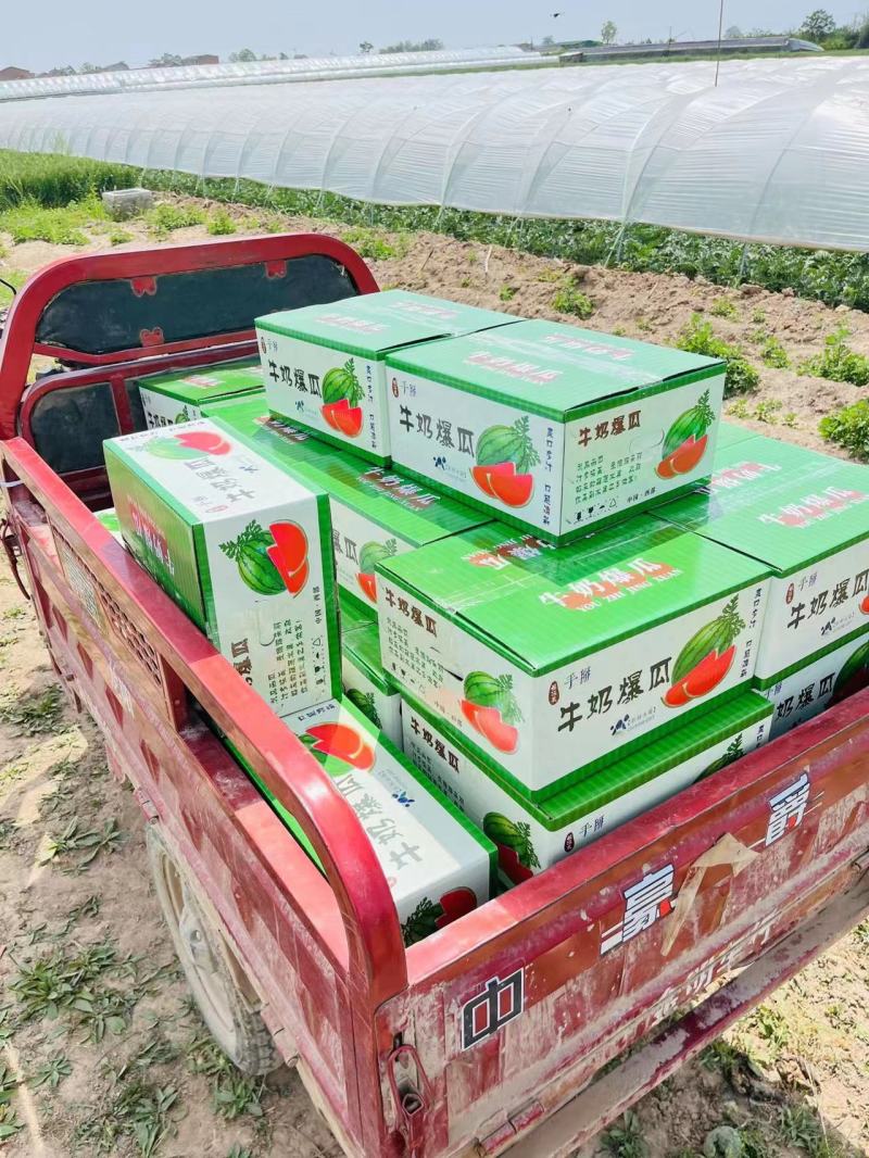 【优质西瓜】全美2K西瓜皮薄汁甜对接全国市场质量保障欢迎来电