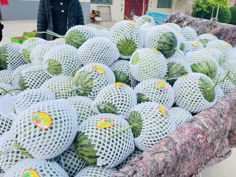 【优质西瓜】全美2K西瓜皮薄汁甜对接全国市场质量保障欢迎来电