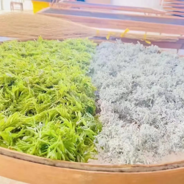 【藤茶】张家界莓茶入口微苦回味甘甜支持一件代发