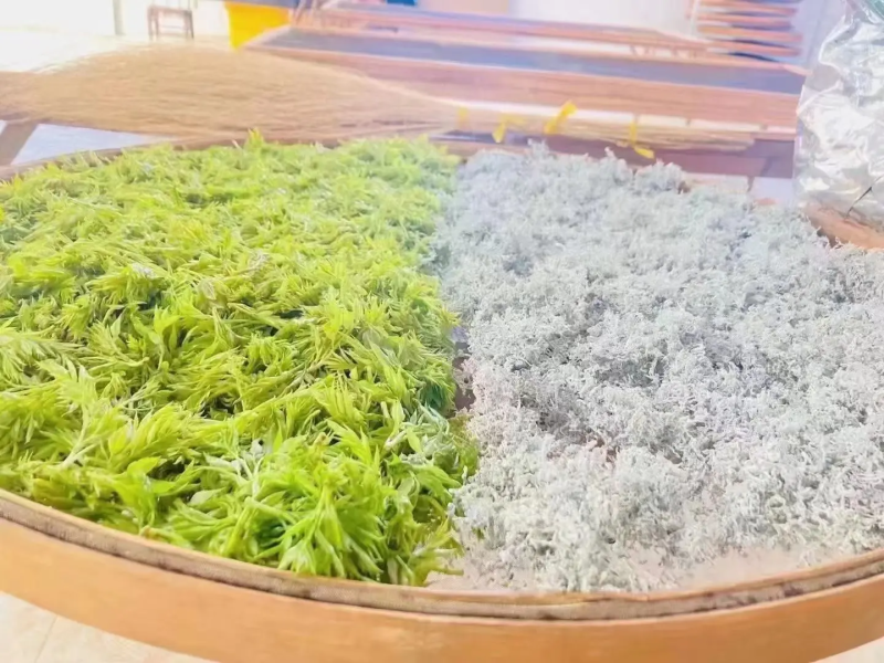 【藤茶】张家界莓茶入口微苦回味甘甜支持一件代发