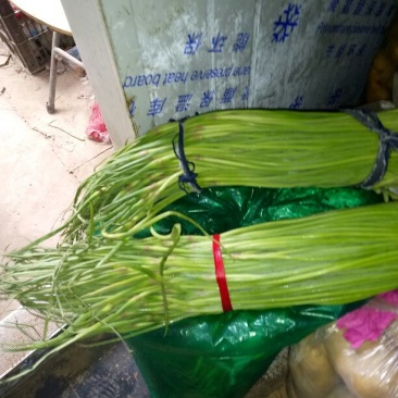 【推荐】开封通许杂交蒜薹蒜苔精品50~60厘米新鲜现摘