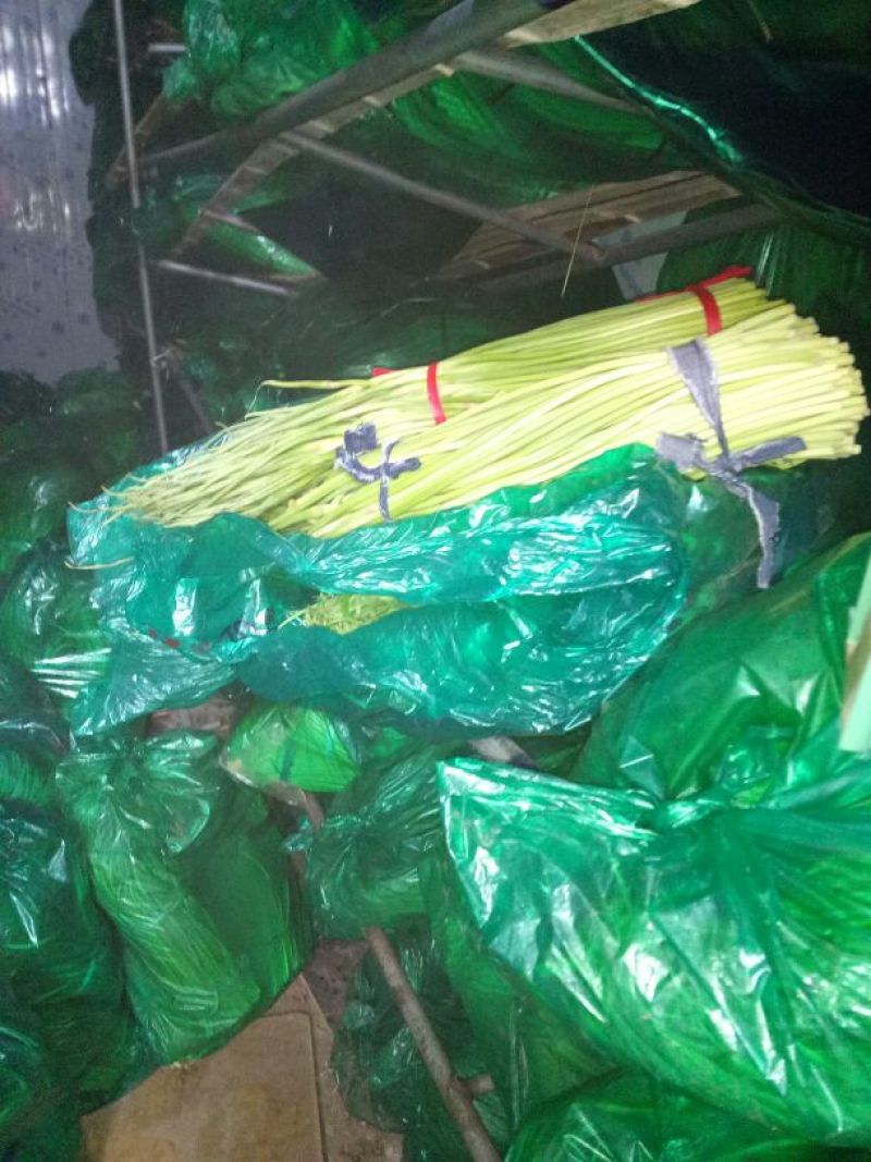 【推荐】开封通许杂交蒜薹蒜苔精品50~60厘米新鲜现摘