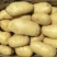 【精选】开封通许土豆荷兰十五土豆洋芋新鲜现挖发货