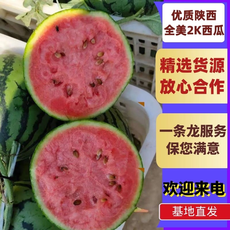【优质西瓜】全美2K西瓜皮薄汁甜对接全国市场质量保障欢迎来电