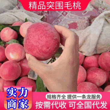 精品突围桃,毛桃,美佳突围桃大量上市口感脆甜