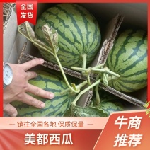 【热卖中】头茬，精品美都西瓜麒麟西瓜一手货源充足，质量保证