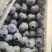 【推荐】山东临沂2023年露天蓝莓薄雾大量上市