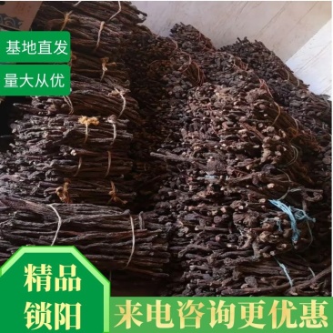 精品锁阳新货大量批发，场地直销货好特惠各种规格欢迎咨询
