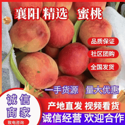 春蜜桃春丽春雪大个头水蜜桃大量上市，个大味甜皮红靓