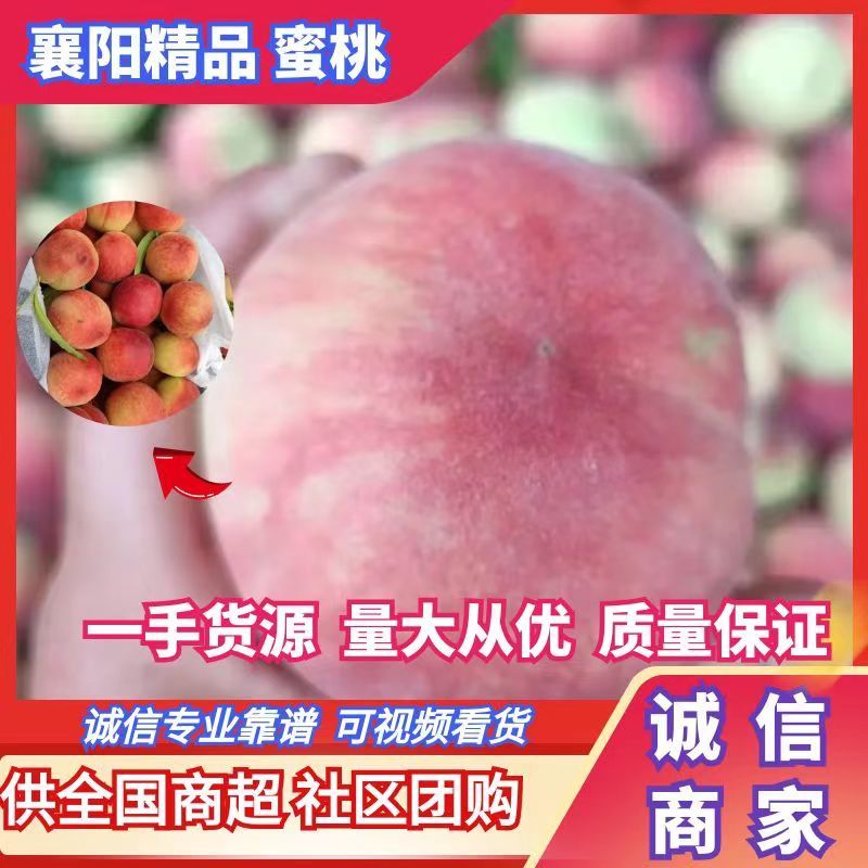 春蜜桃春丽春雪大个头水蜜桃大量上市，个大味甜皮红靓