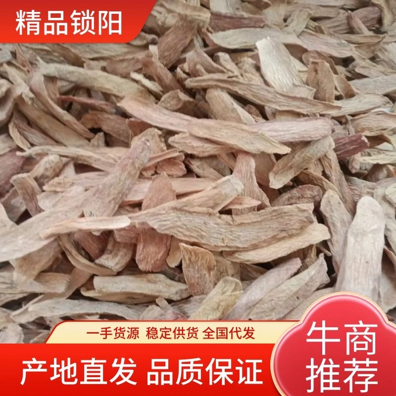 推荐原产地直供，量大从优锁阳片常年有货可供应欢迎咨询
