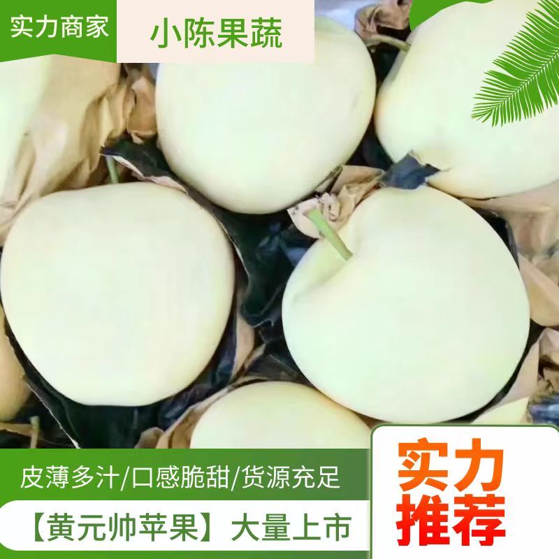 【黄金帅苹果】大量上市了个大皮毛亮口感脆甜大量供应货源充足