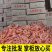 淡干不加盐磷虾磷虾皮虾米软壳新鲜无任何添加剂肉质饱满软嫩