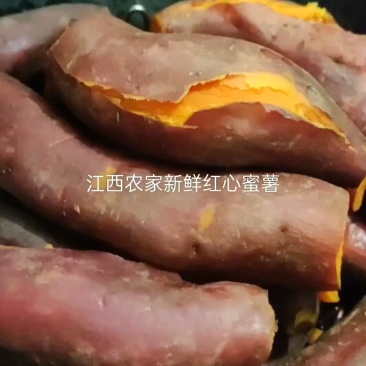 西瓜红蜜薯品质好一件代发全国