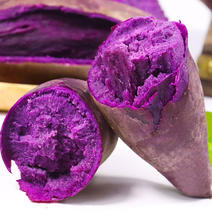 紫薯品质好一件全国