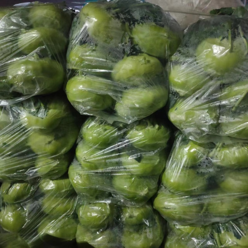 【热】坯头菜芥菜大量上市产地直供全国发货欢迎联系