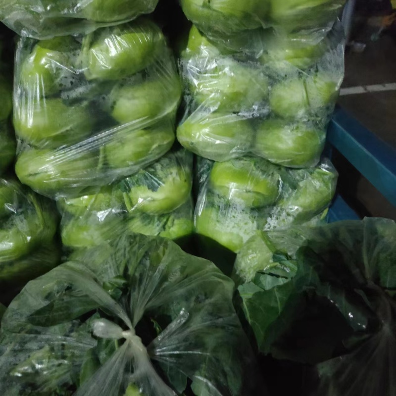 【热】坯头菜芥菜大量上市产地直供全国发货欢迎联系