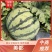 【品质推荐】大棚少籽美都西瓜，产地直发，可视频看货。