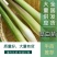 茭白种苗龙茭2号美人茭品种齐全诚信经营，欢迎来电咨询