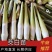 茭白苗浙茭6号，7号龙茭2号美人茭品种齐全，量大从优