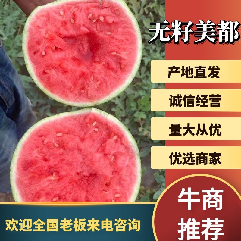 [美都西瓜批发]江苏盐城大丰区西瓜 1.50元/斤头茬无籽美都上 _ 一亩田