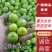 【李子】广西三月李青脆李子大量上市品质保证全国发货