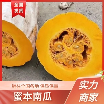 🔥精品金韩蜜本南瓜🔥基地直供🔥货源充足🔥保质保量🔥