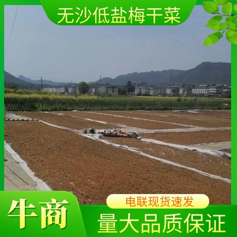 梅干菜，无沙低盐梅干菜，人工筛选去梗量大从优，欢迎采购