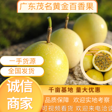 【推荐】茂名黄金百香果-天地盖礼盒款！7月23日