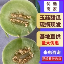 【推荐】玉菇甜瓜,产地直发，量大从优，欢迎进店洽谈。