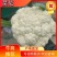 【实力】松花菜白面青梗有机花菜大量新鲜供应，对接全国商超