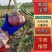 二红洋葱洋产地直发量大从优一手货源诚信代办