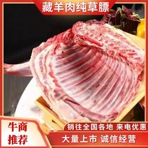 青海藏羊肉纯草膘草原放养肉质鲜嫩爽口质量保证价格欢迎