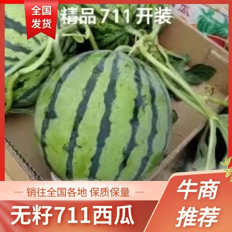 商丘无籽711，美都大量上市中质量保障量大从优对接全国