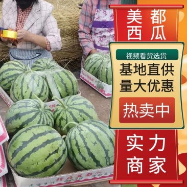 精品西瓜美都西瓜8424大量供应中皮薄瓤红包熟包甜