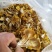 【热卖】鸡油菌精品烘干多叶货多种规格，基地直供无中间商
