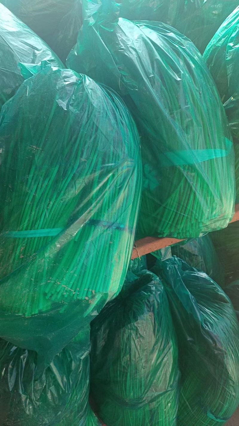 邳州蒜薹规格齐全产地一手货源可视频看货欢迎来电咨询