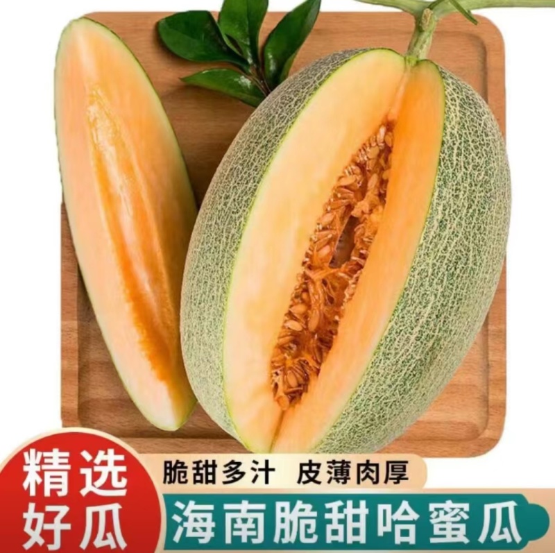 海南直发哈密瓜25号，接所有电商一件代发，量大滴滴