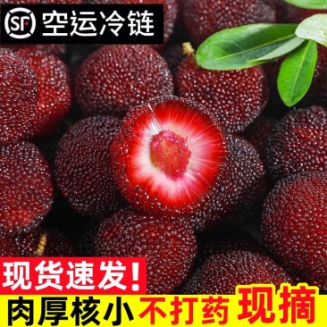 浮宫杨梅产地一手，发顺丰空运，时效件48小时到，支持社区