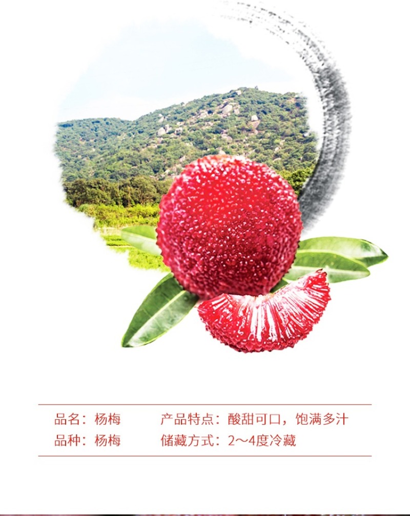 浮宫杨梅产地一手，发顺丰空运，时效件48小时到，支持社区