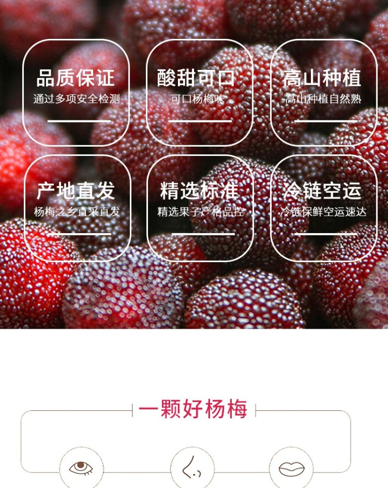 浮宫杨梅产地一手，发顺丰空运，时效件48小时到，支持社区